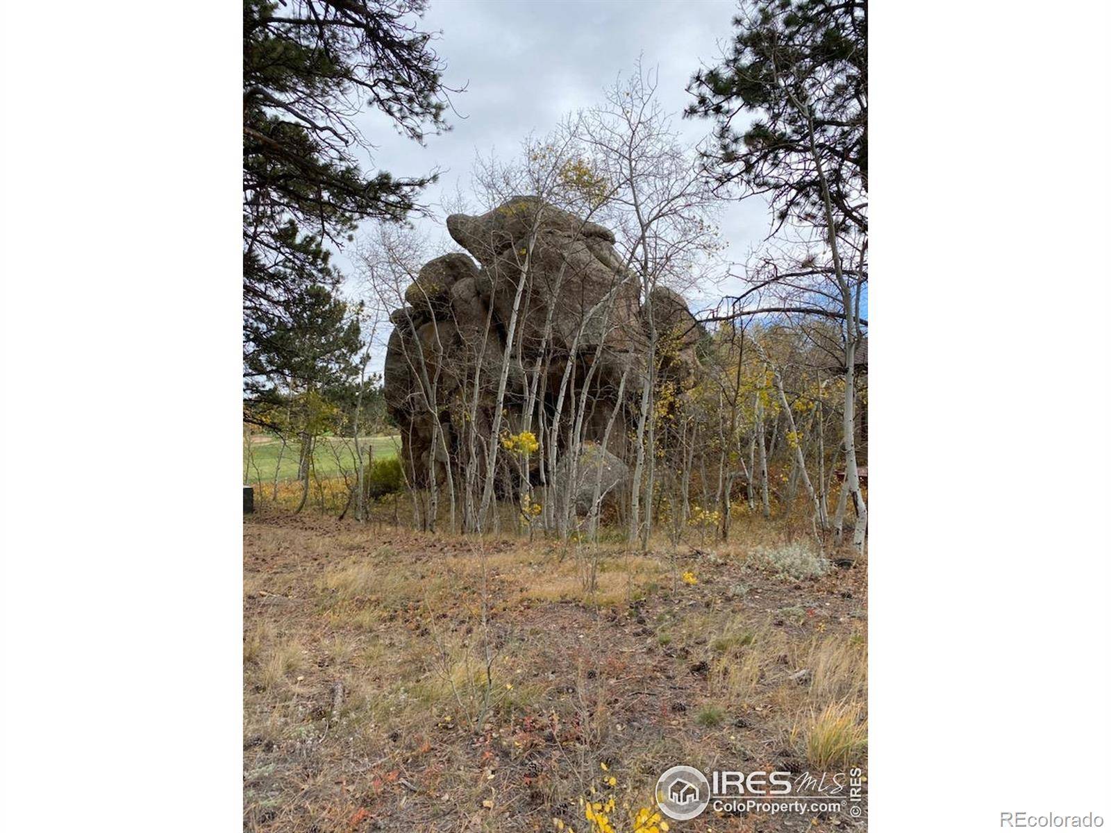 0 Northwoods DR, Red Feather Lakes, CO 80545