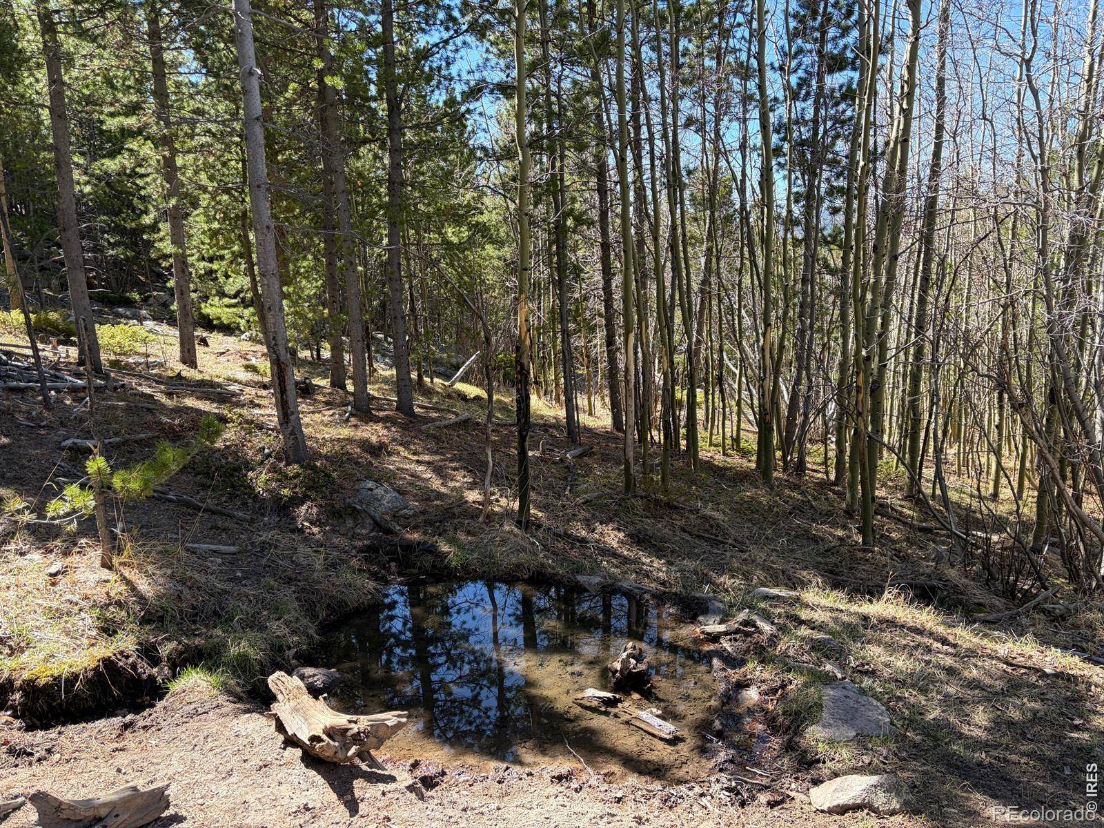 0 Bear Gulch RD, Red Feather Lakes, CO 80545