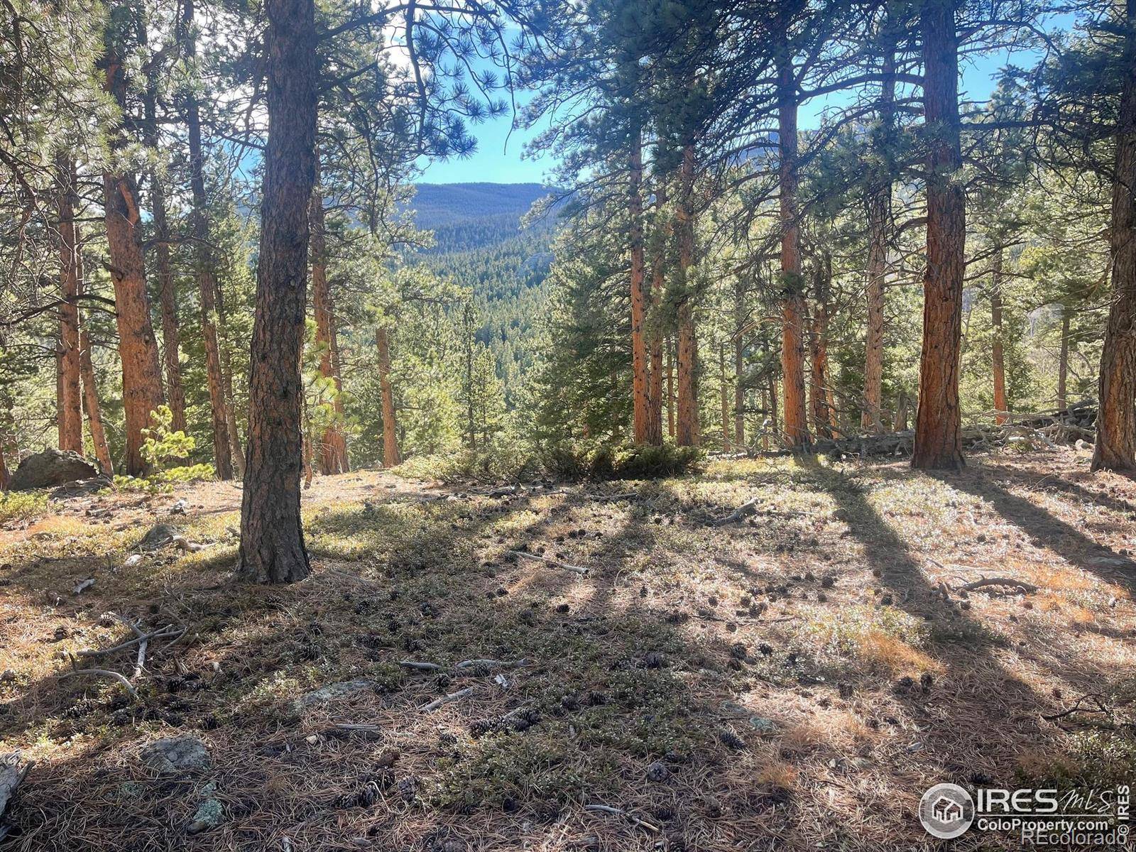 399 N Skinner RD, Allenspark, CO 80510
