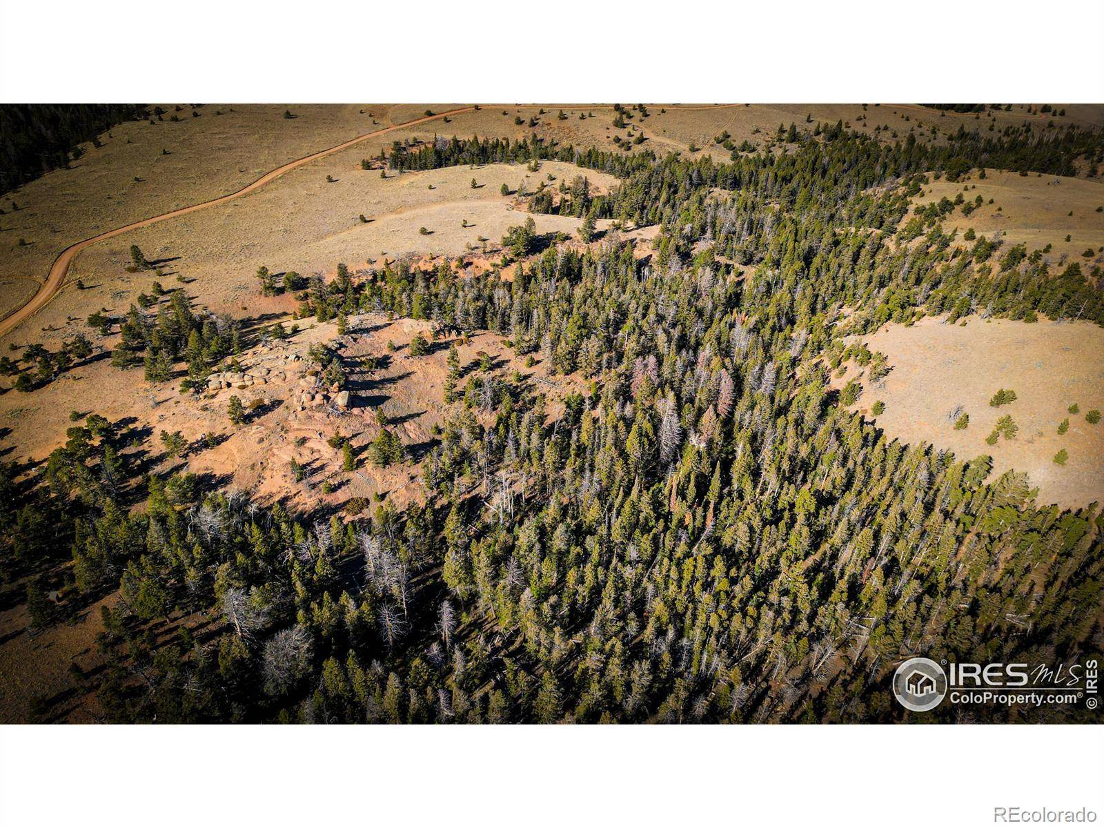 0 Wilderness Ranch RD, Red Feather Lakes, CO 80545