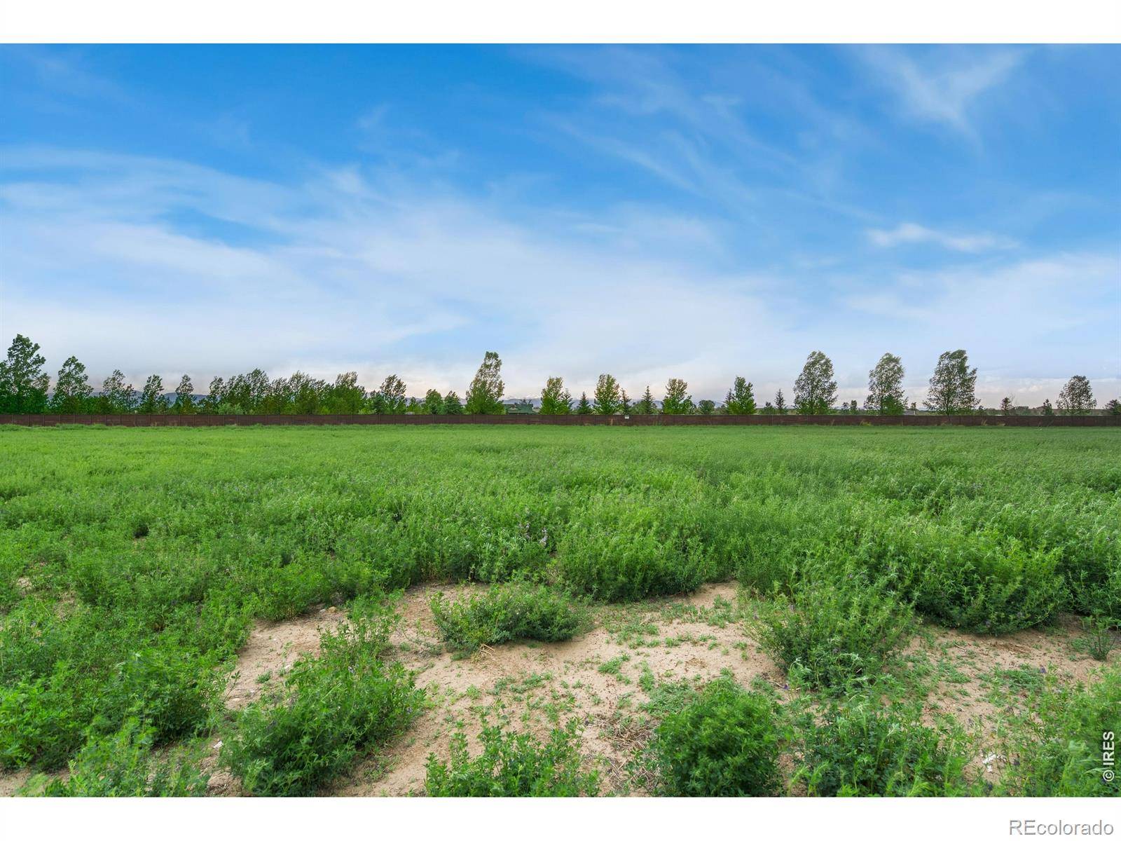 1574 Hauck Meadows DR, Frederick, CO 80504