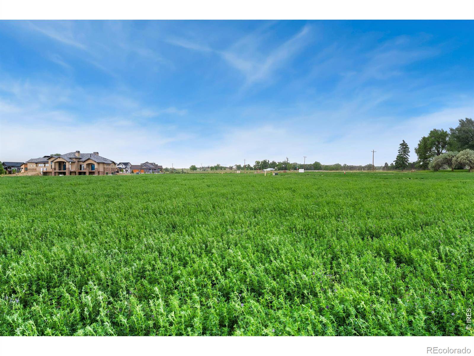 1574 Hauck Meadows DR, Frederick, CO 80504