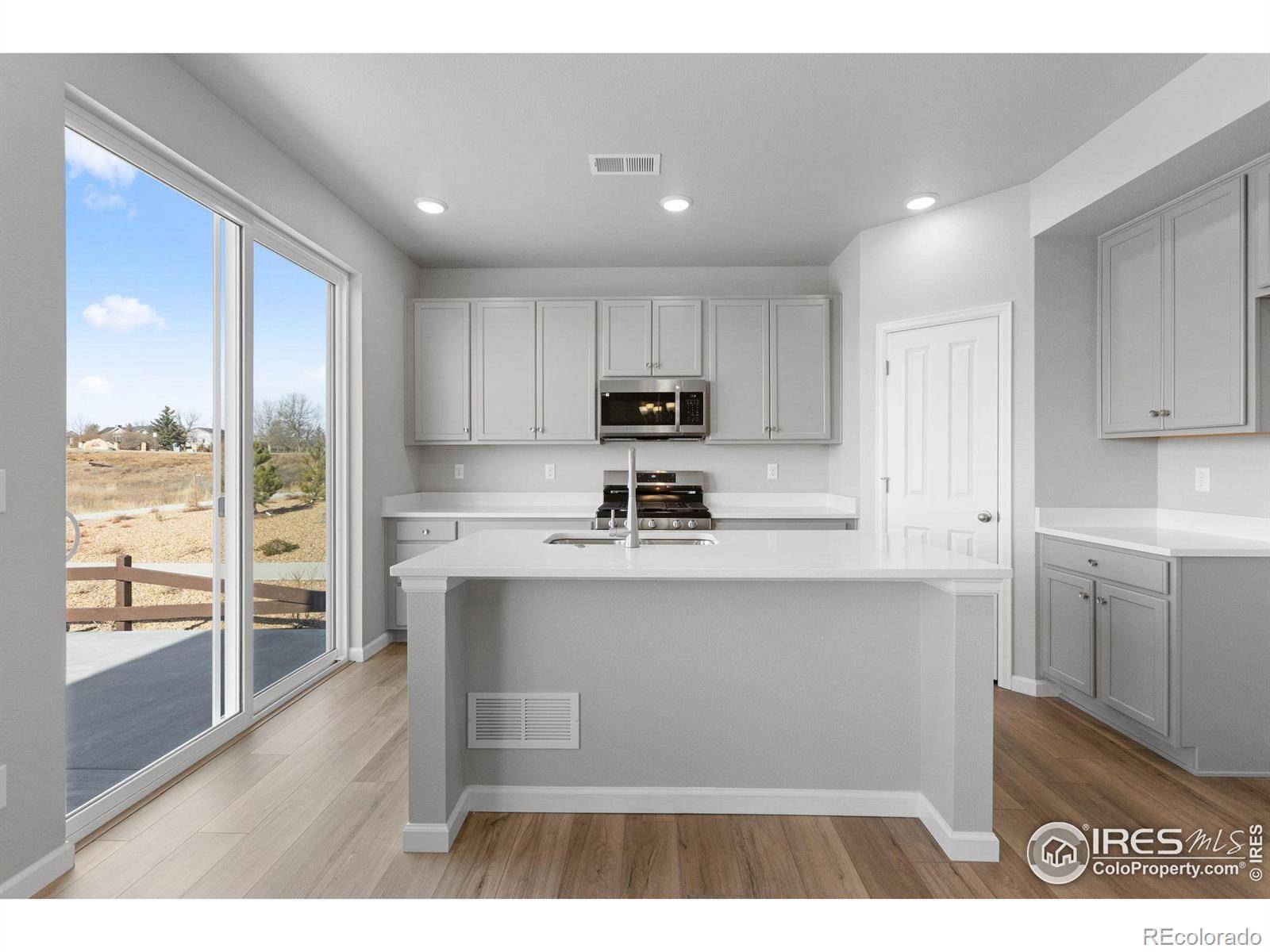 16953 Ballinger CIR, Mead, CO 80542