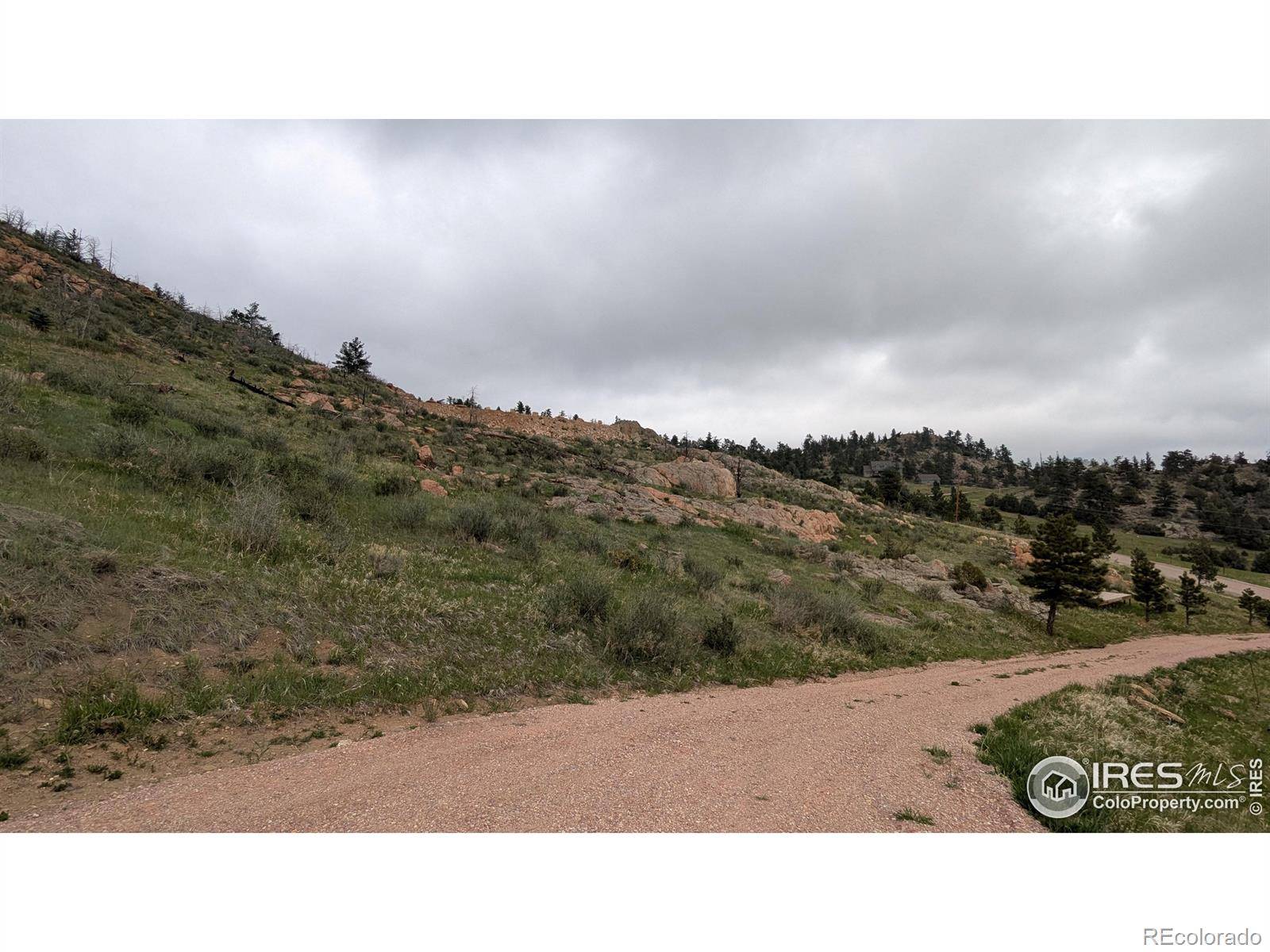 1191 Eiger RD, Livermore, CO 80536