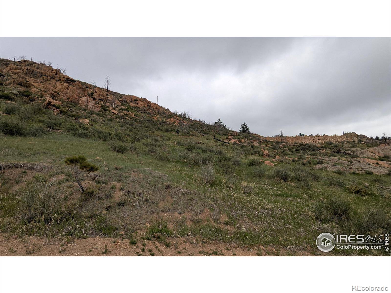 1191 Eiger RD, Livermore, CO 80536