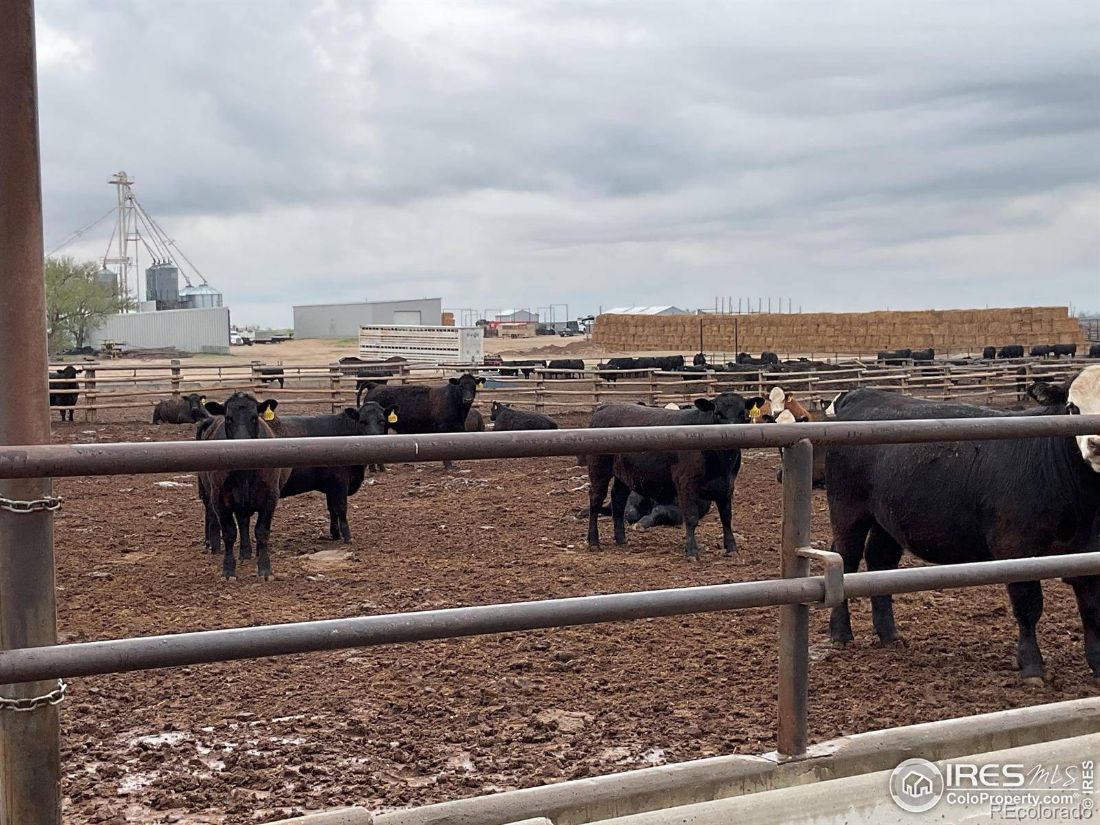 0 Hwy, Kit Carson, CO 80825