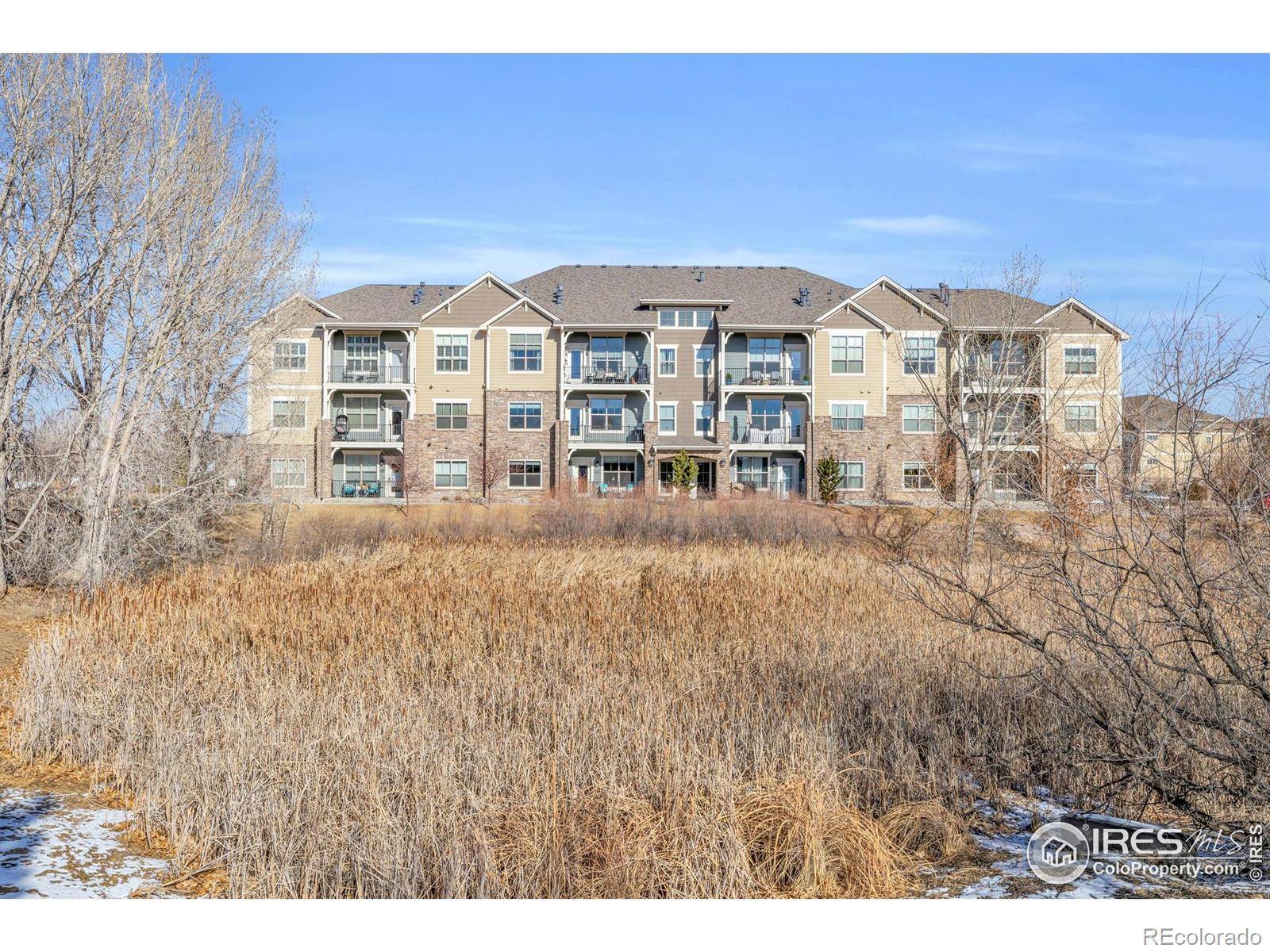 4612 Hahns Peak DR #102, Loveland, CO 80538