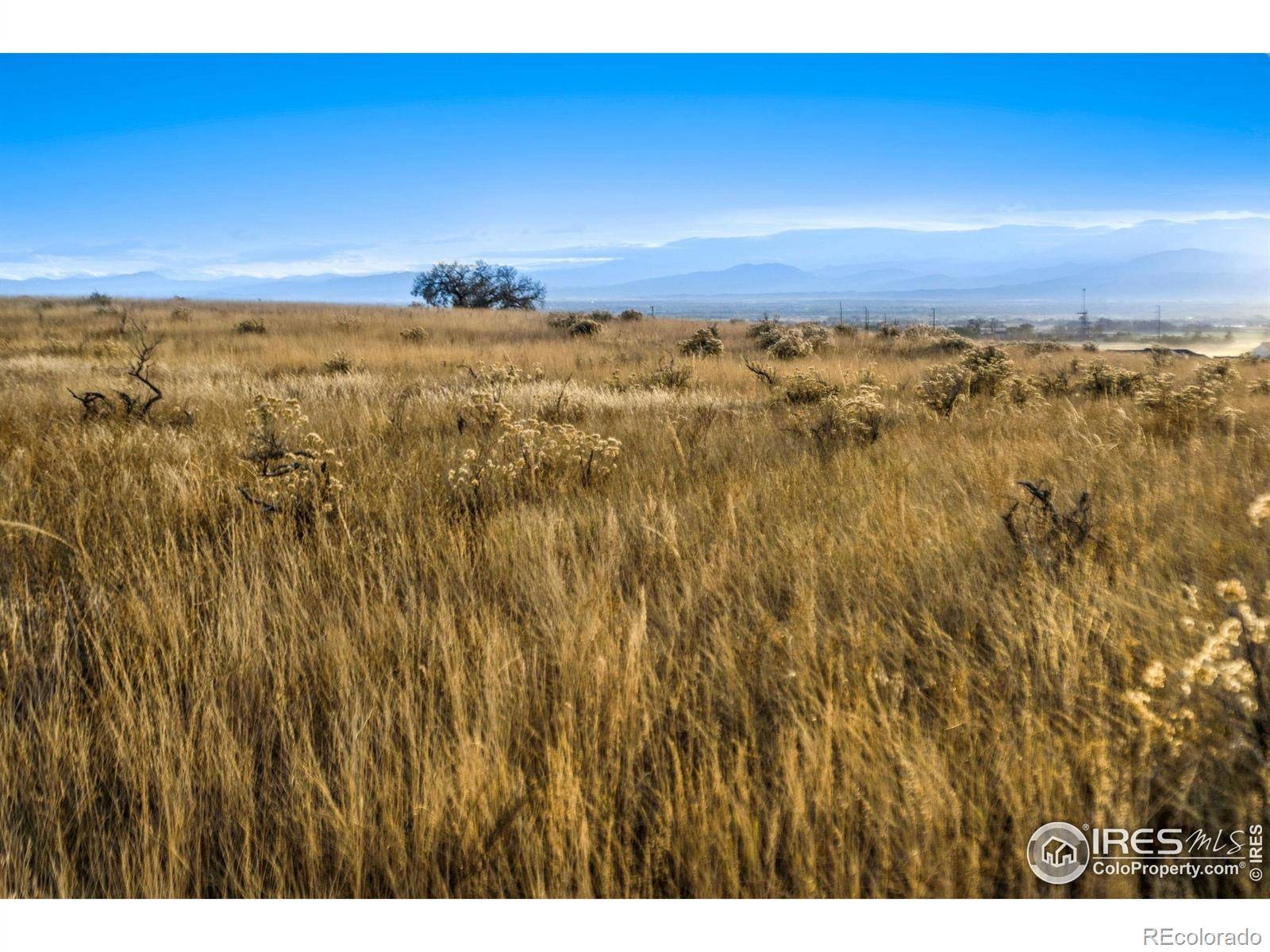 7895 County Road 84, Fort Collins, CO 80524