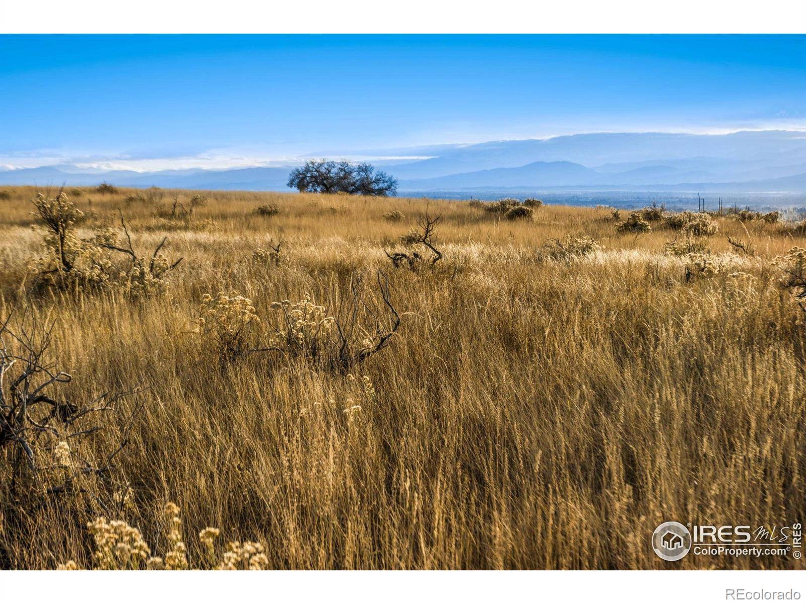 7913 County Road 84, Fort Collins, CO 80524