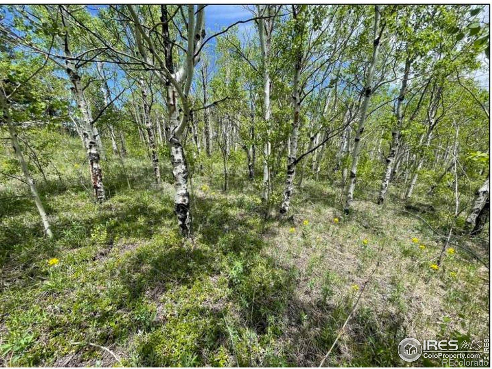 11320 Gold Hill RD, Boulder, CO 80302