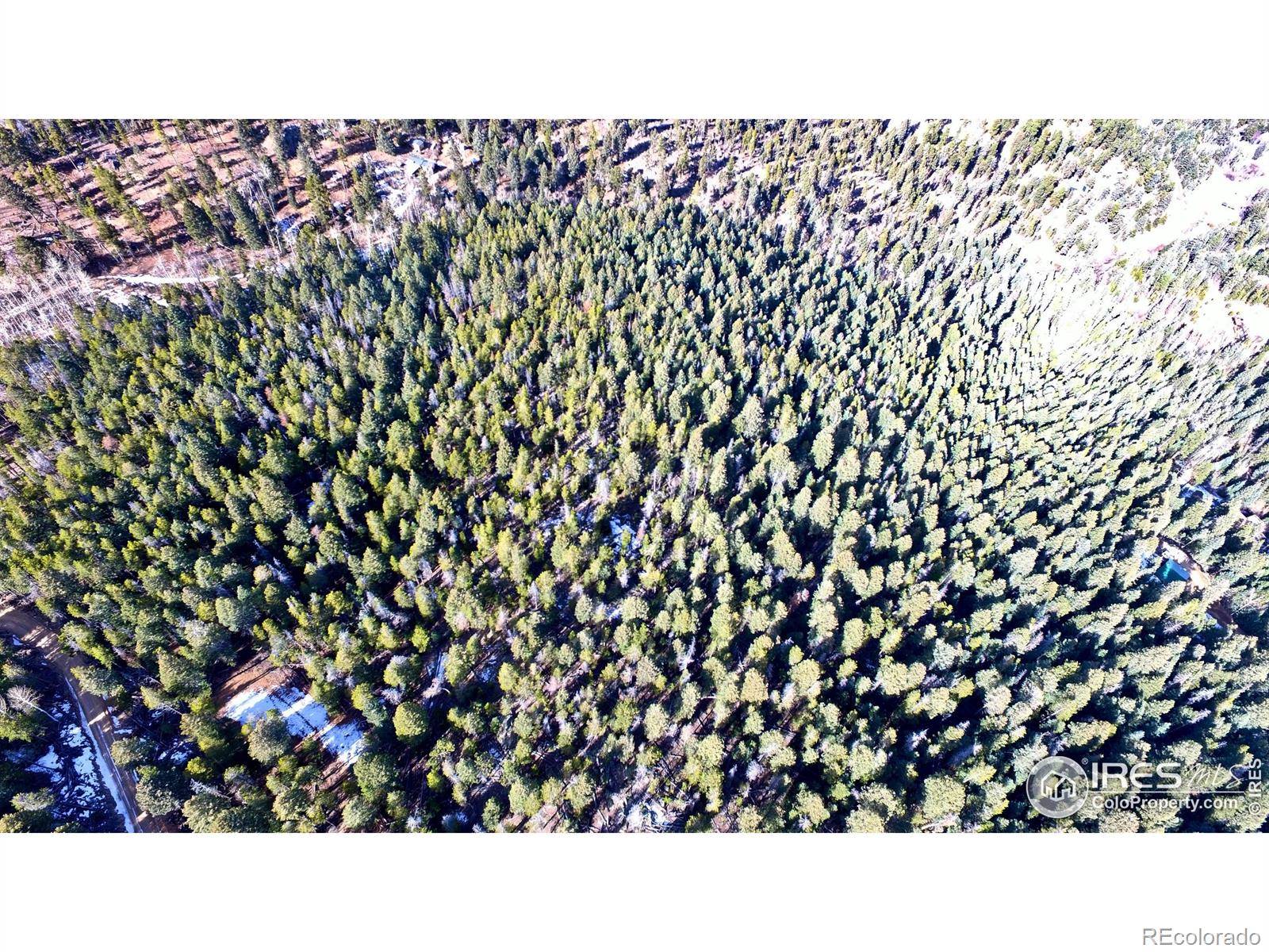 0 Snowy TRL, Conifer, CO 80433