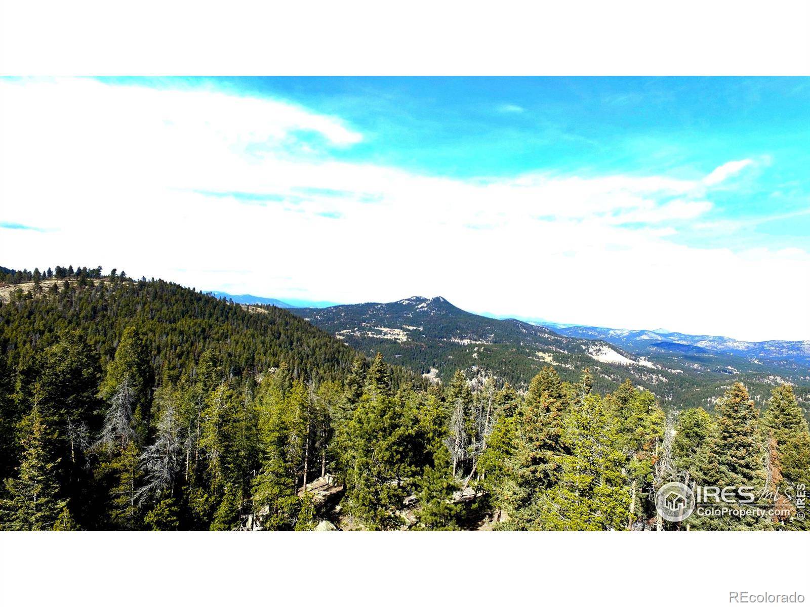 0 Snowy TRL, Conifer, CO 80433