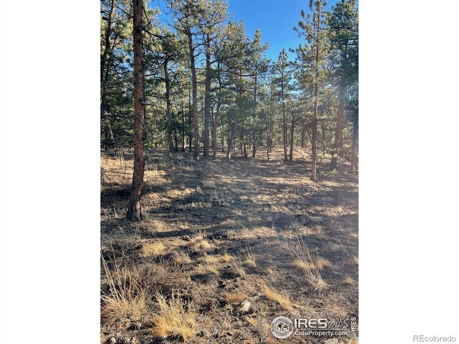 0 Pine DR, Lyons, CO 80540