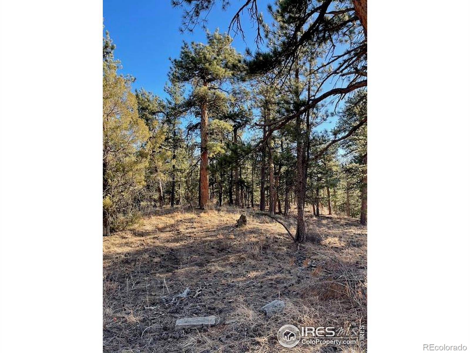 0 Pine DR, Lyons, CO 80540