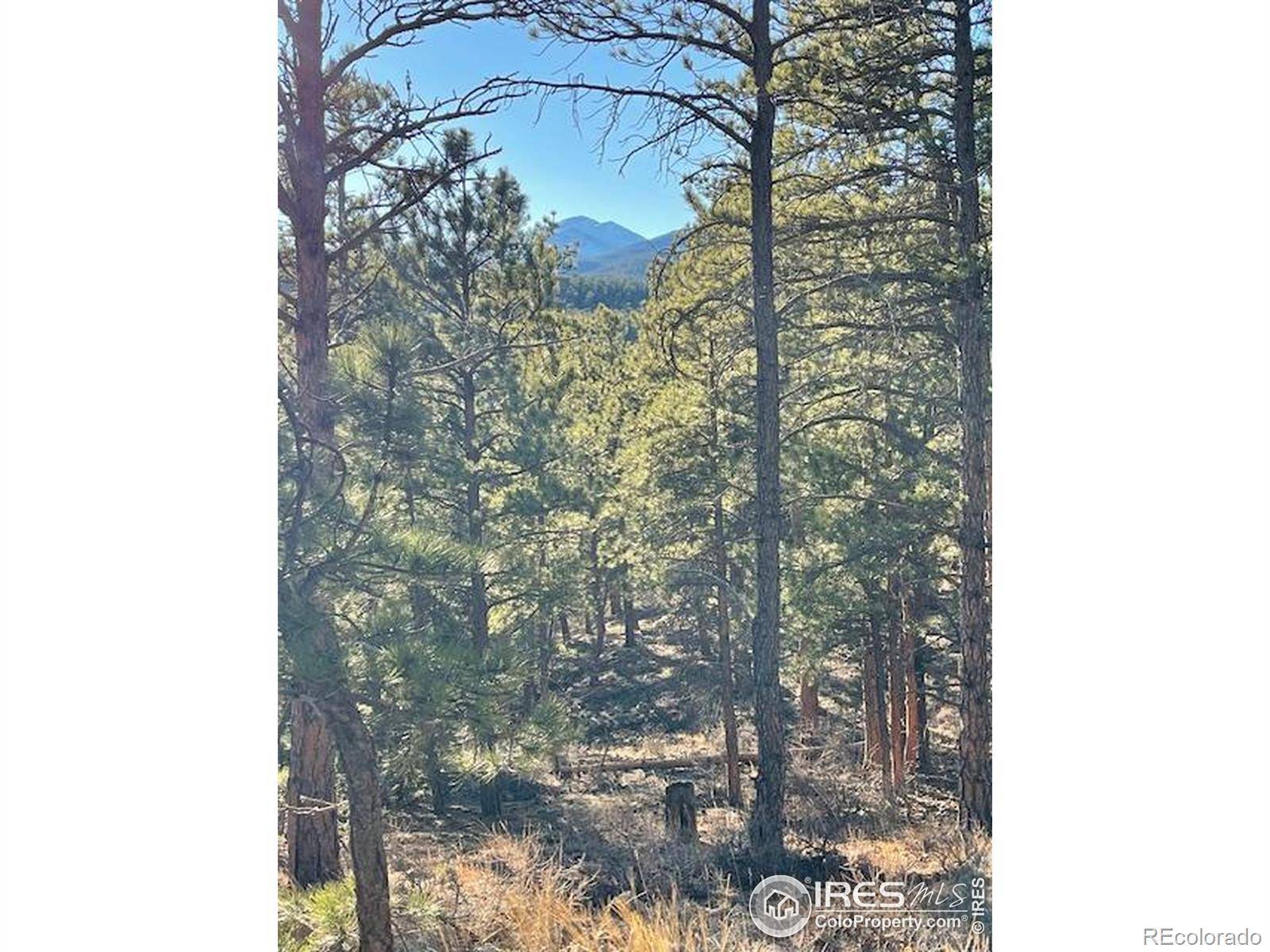 0 Pine DR, Lyons, CO 80540