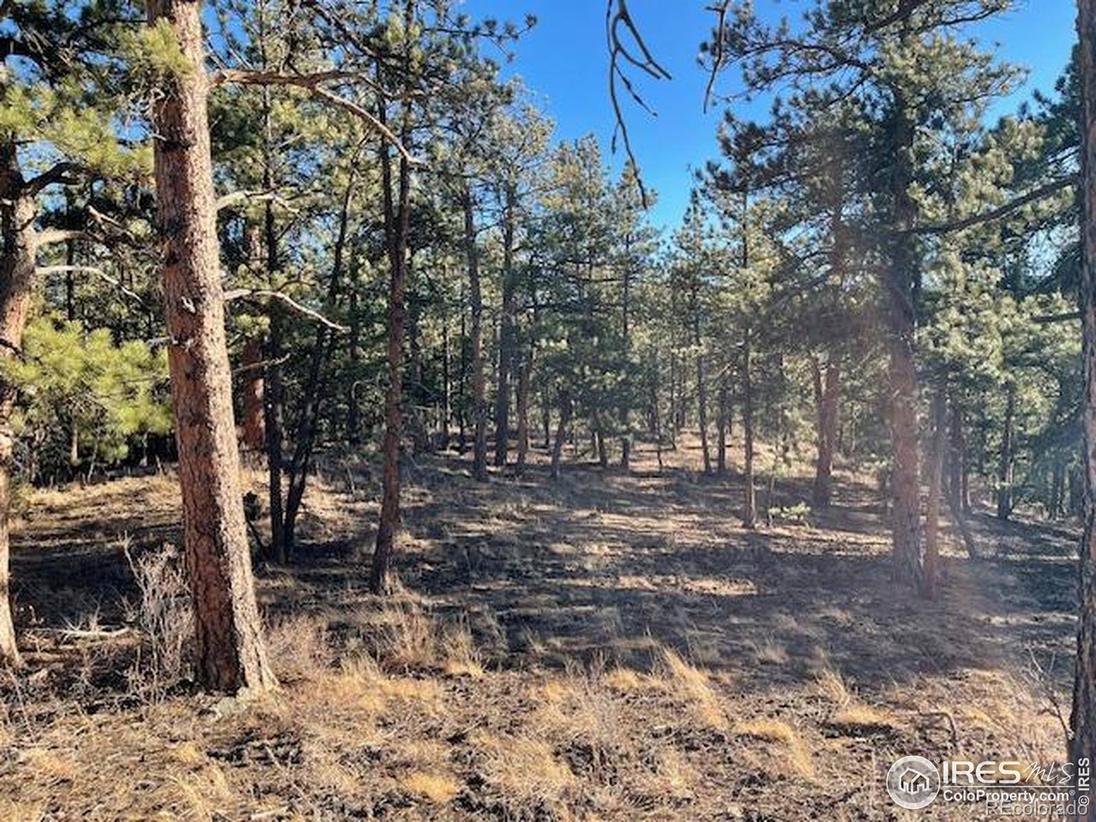 0 Pine DR, Lyons, CO 80540