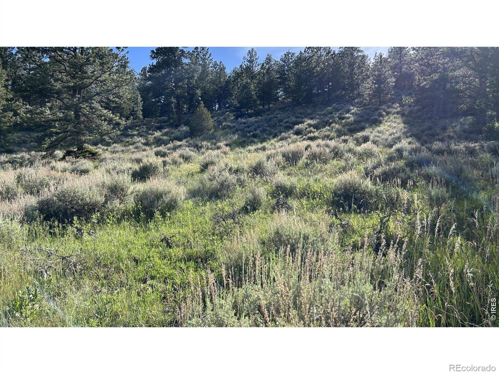 416 Comanche CIR, Red Feather Lakes, CO 80545