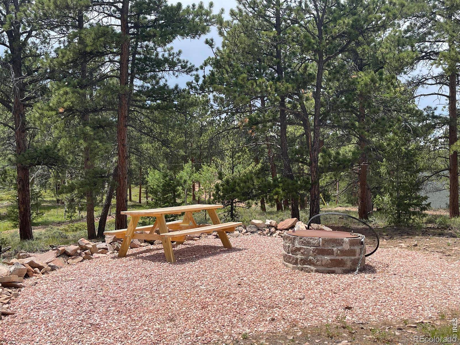 416 Comanche CIR, Red Feather Lakes, CO 80545