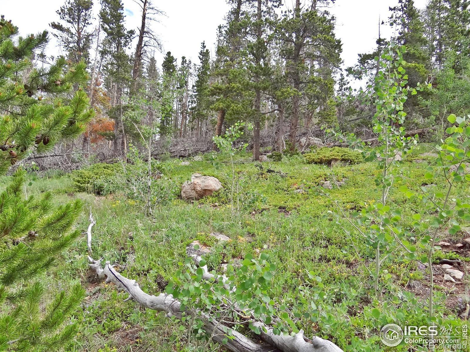 1683 Osage TRL, Red Feather Lakes, CO 80545