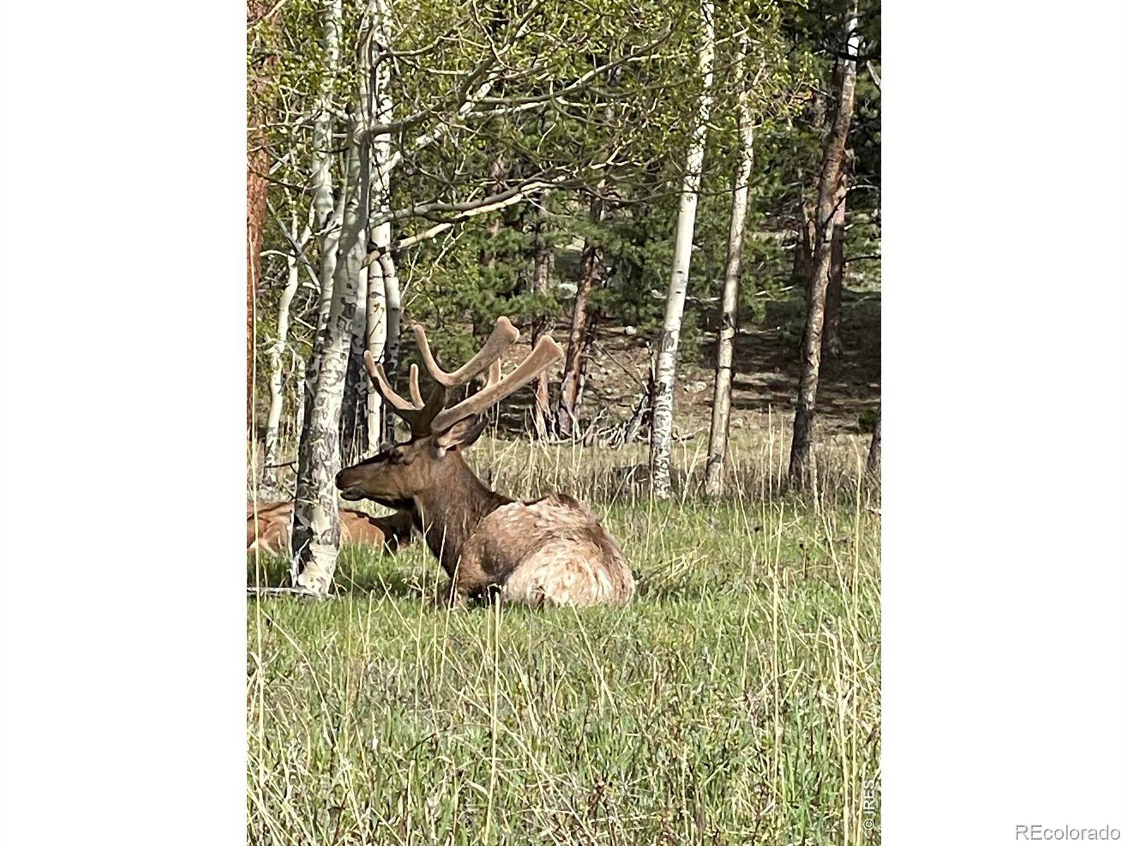 1565 Highway 66 ##31, Estes Park, CO 80517