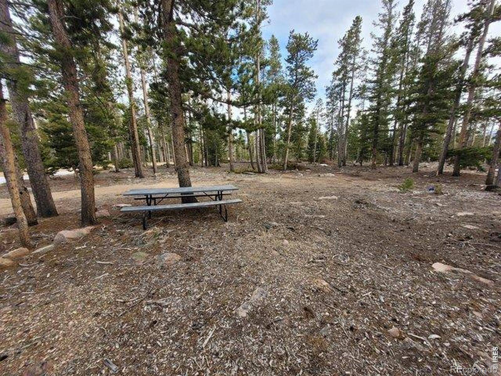 1421 Jicarilla TRL, Red Feather Lakes, CO 80545