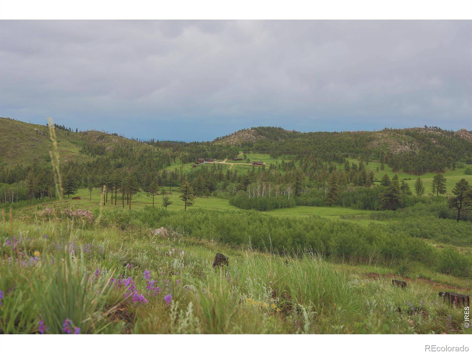 14884 Rist Canyon RD, Bellvue, CO 80512