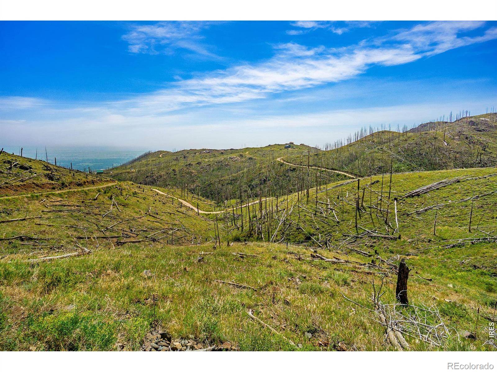 1600 Whale Rock RD, Bellvue, CO 80512