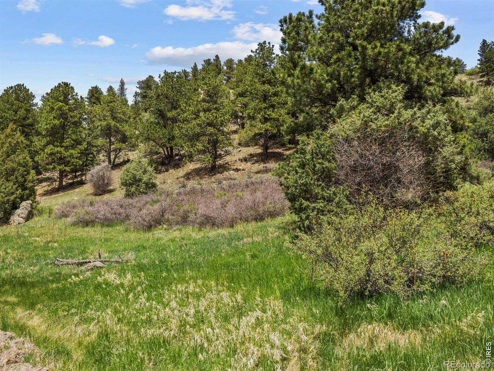Dunraven Glade RD, Glen Haven, CO 80532