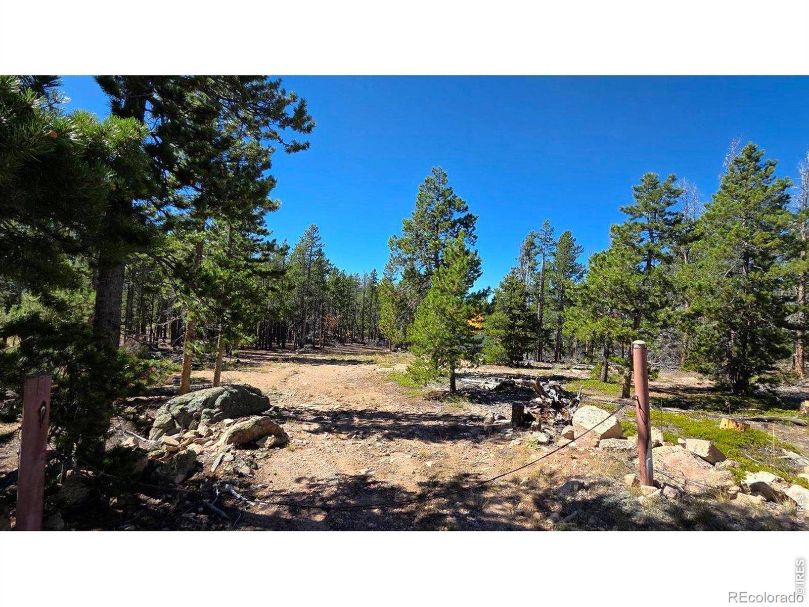 1367 Osage TRL, Red Feather Lakes, CO 80545