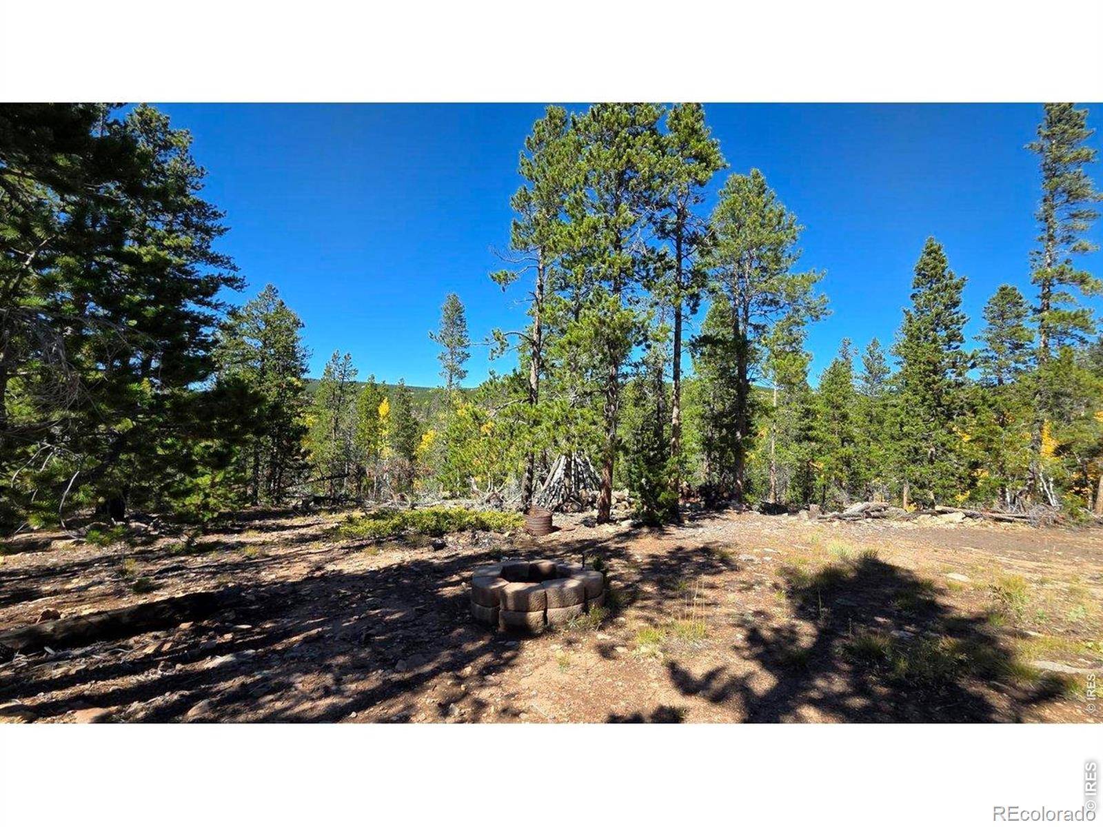 1367 Osage TRL, Red Feather Lakes, CO 80545