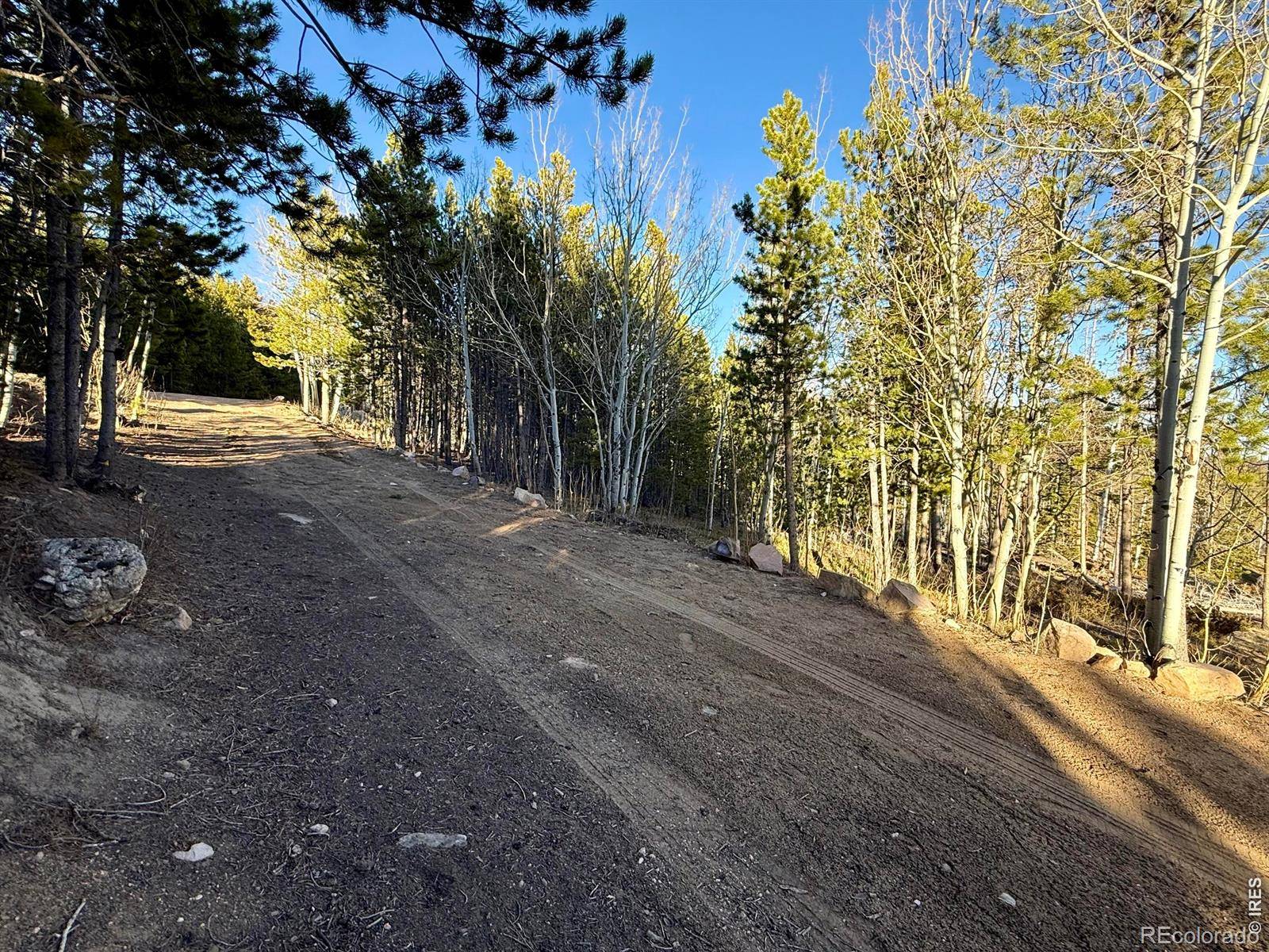 227 Micmac DR, Red Feather Lakes, CO 80545