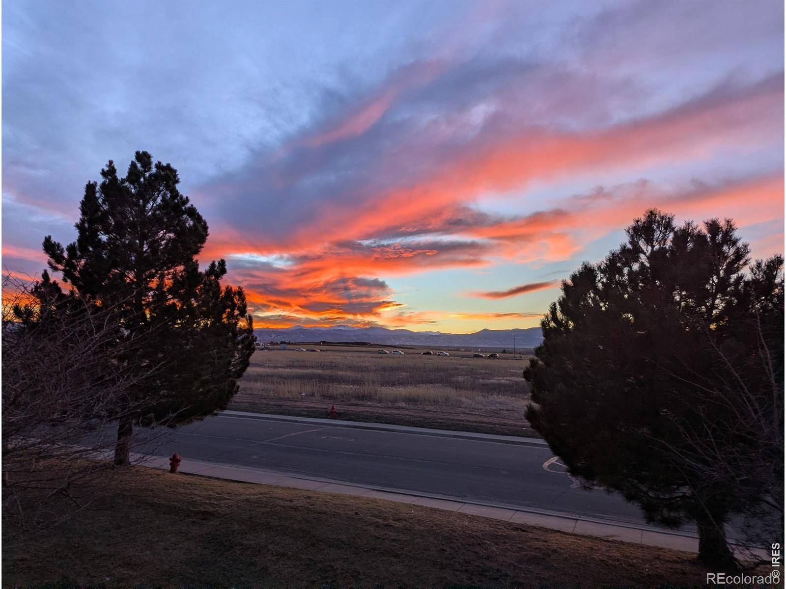 8690 Decatur ST #205, Westminster, CO 80031