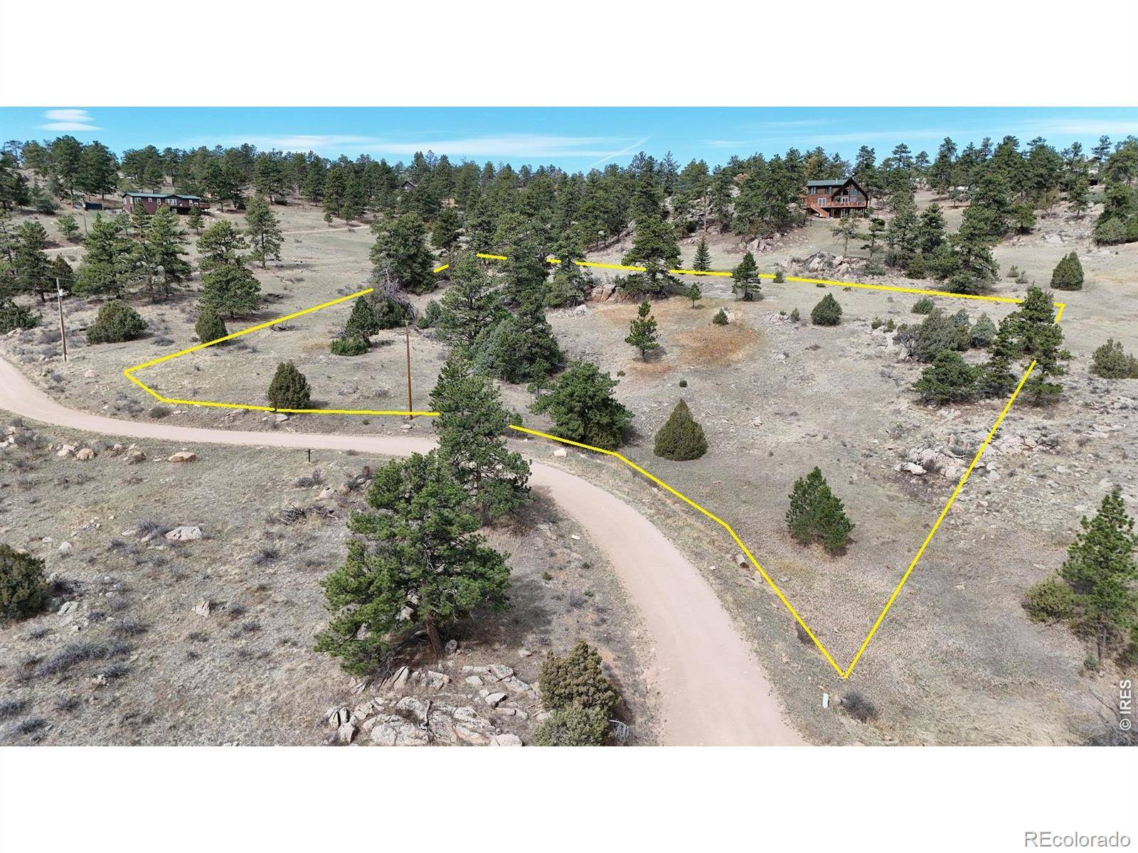 565 Le Conte DR, Livermore, CO 80536