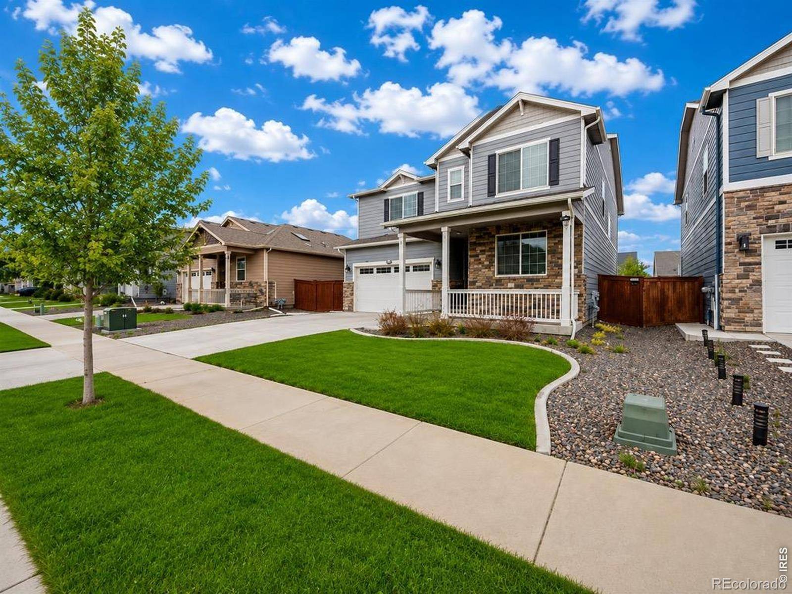 1937 Raindrop DR, Windsor, CO 80550