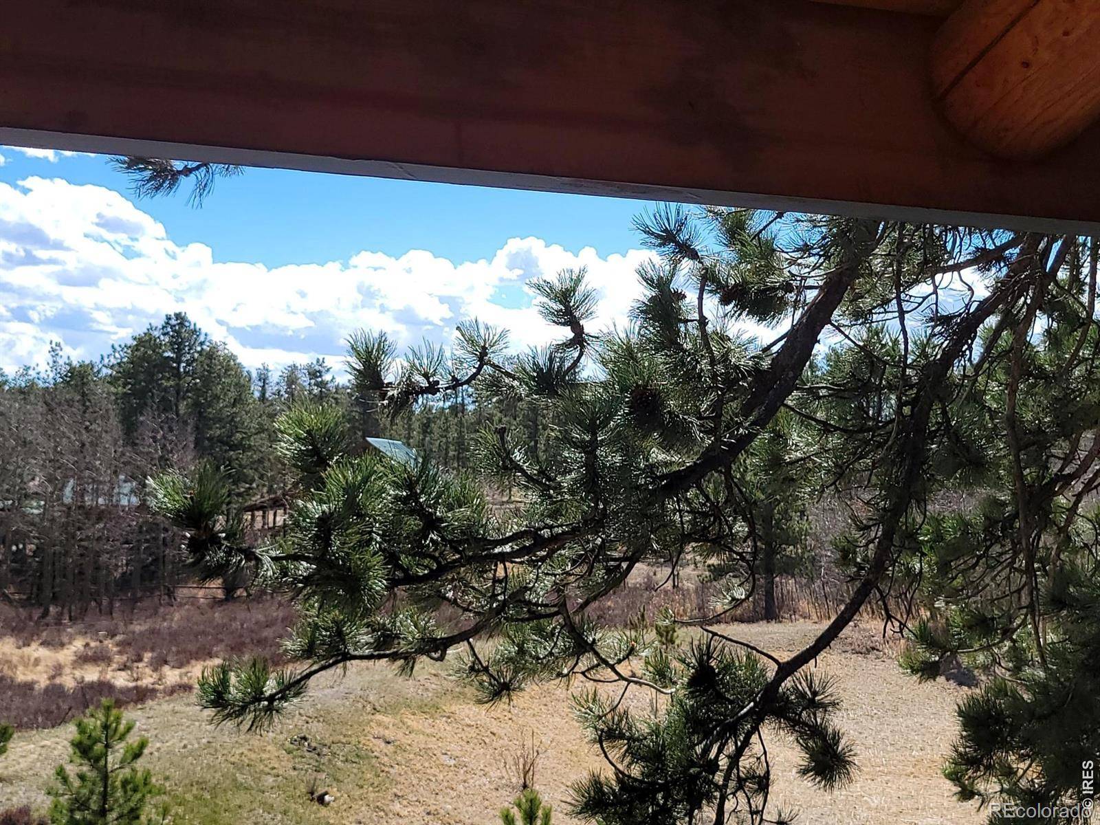 2225 N County Road 73c, Red Feather Lakes, CO 80545