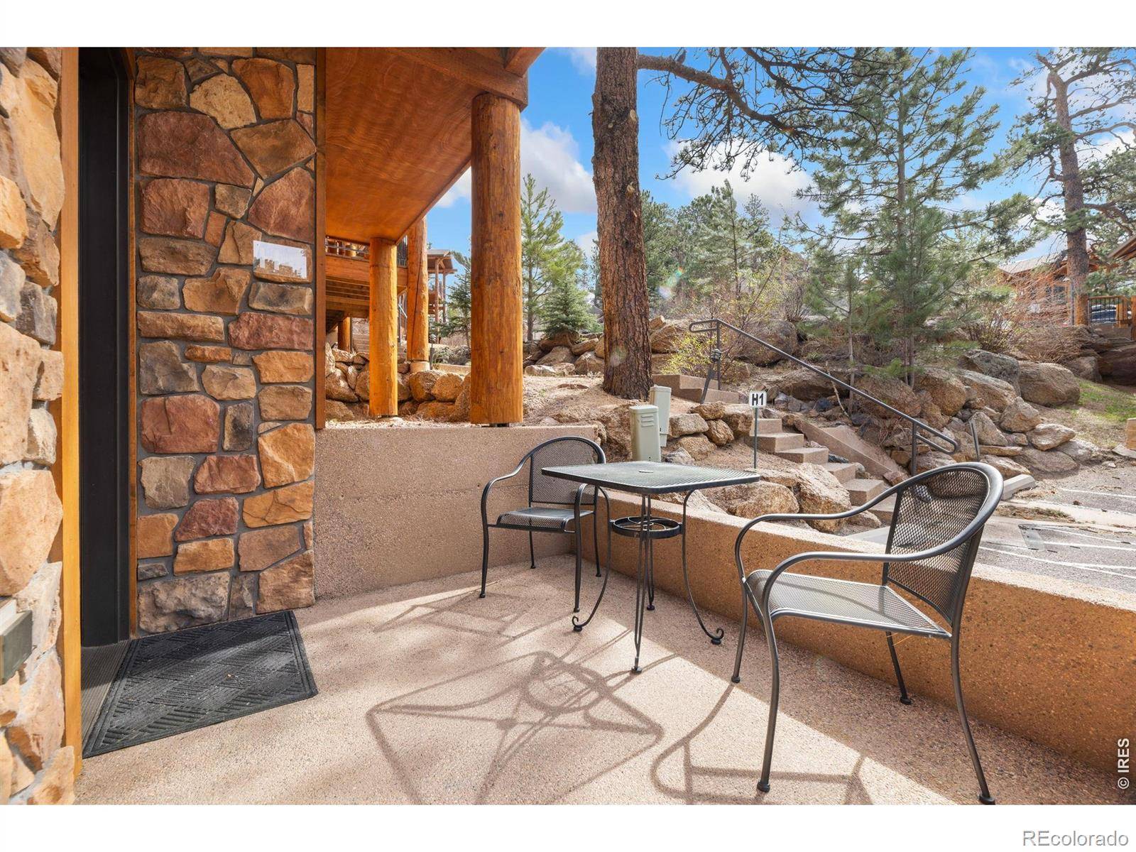 199 Twin Owls LN #1, Estes Park, CO 80517