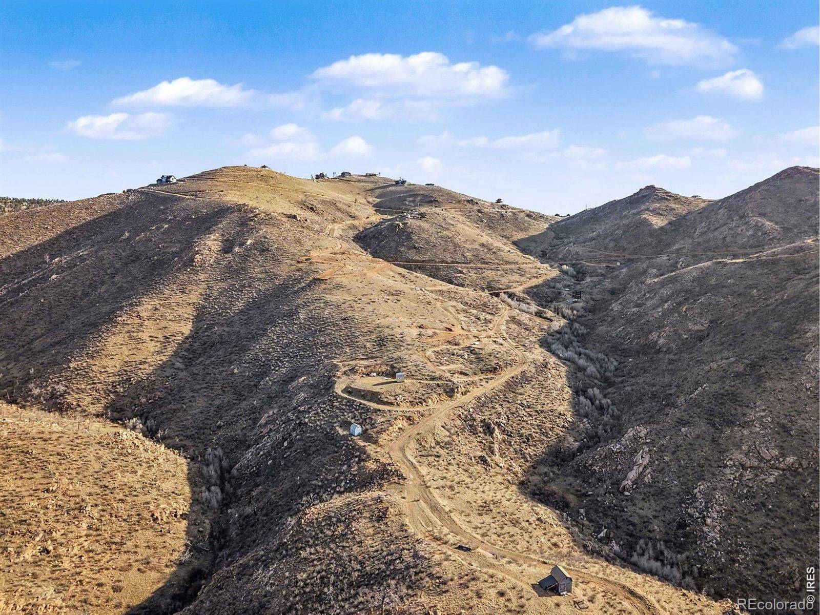 1634 Horse Mountain DR, Livermore, CO 80536
