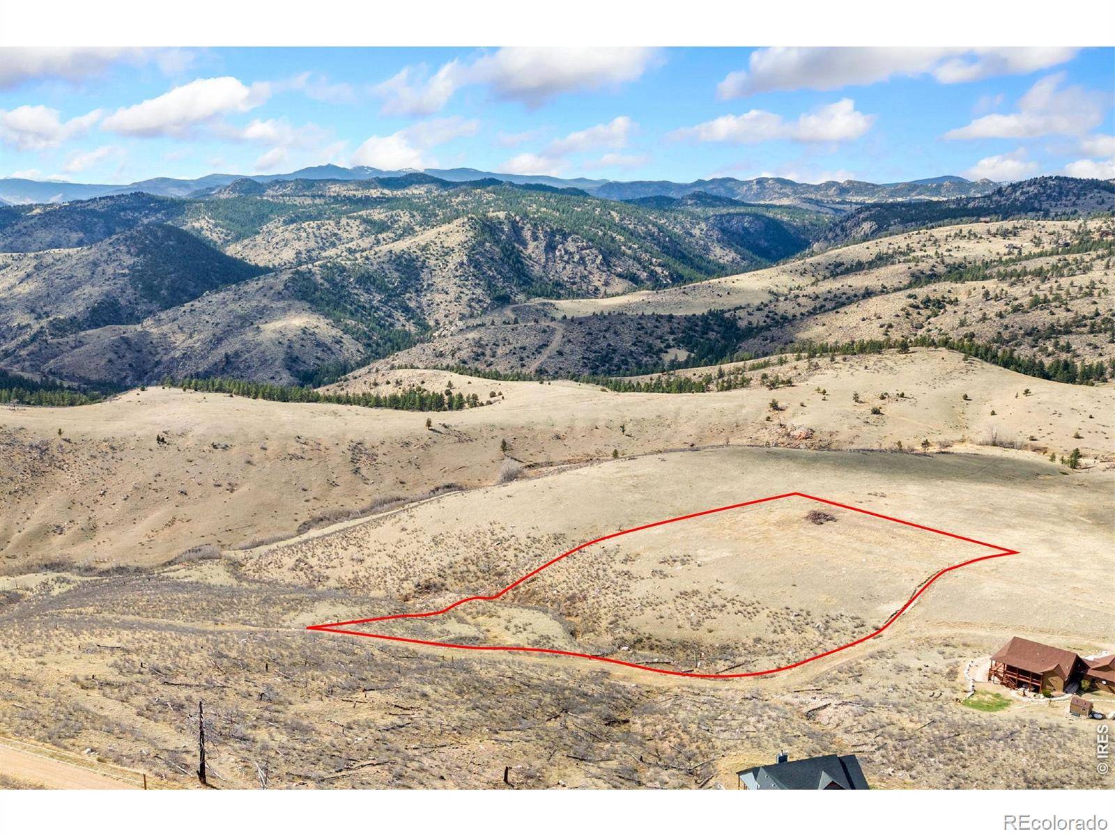 170 Little Bald Mountain CT, Livermore, CO 80536
