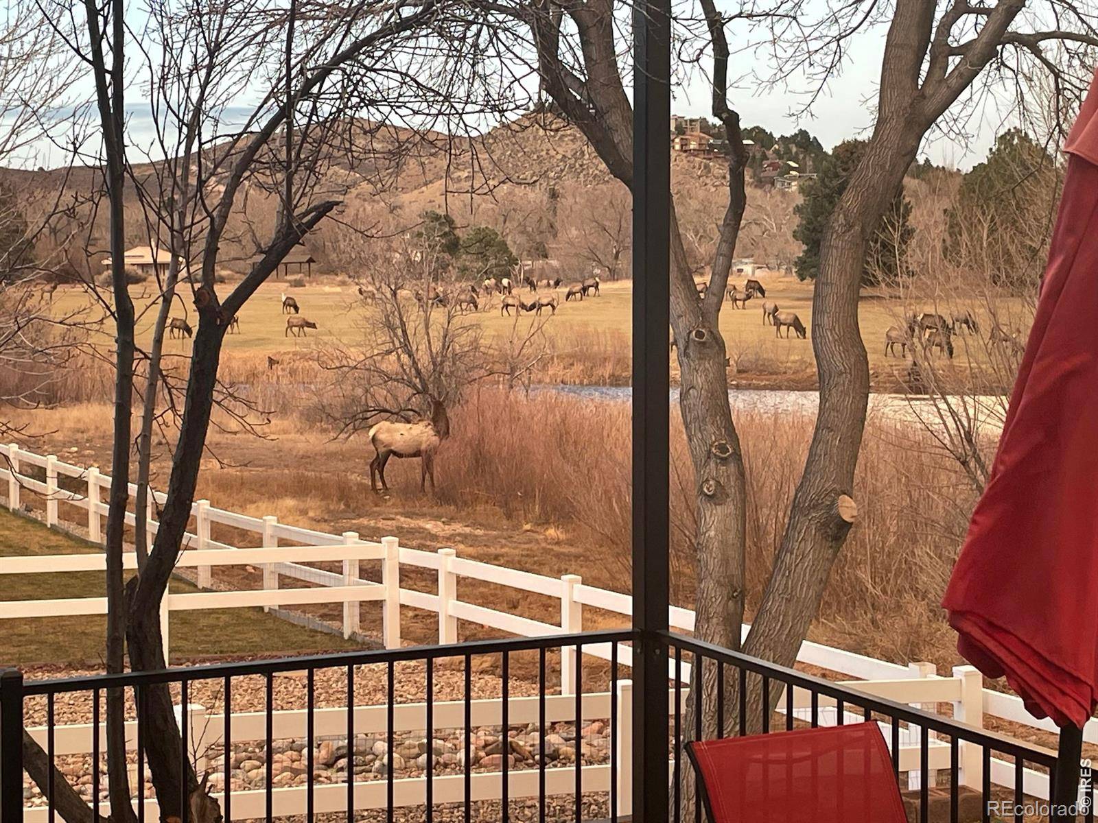 4339 Golf Vista DR, Loveland, CO 80537