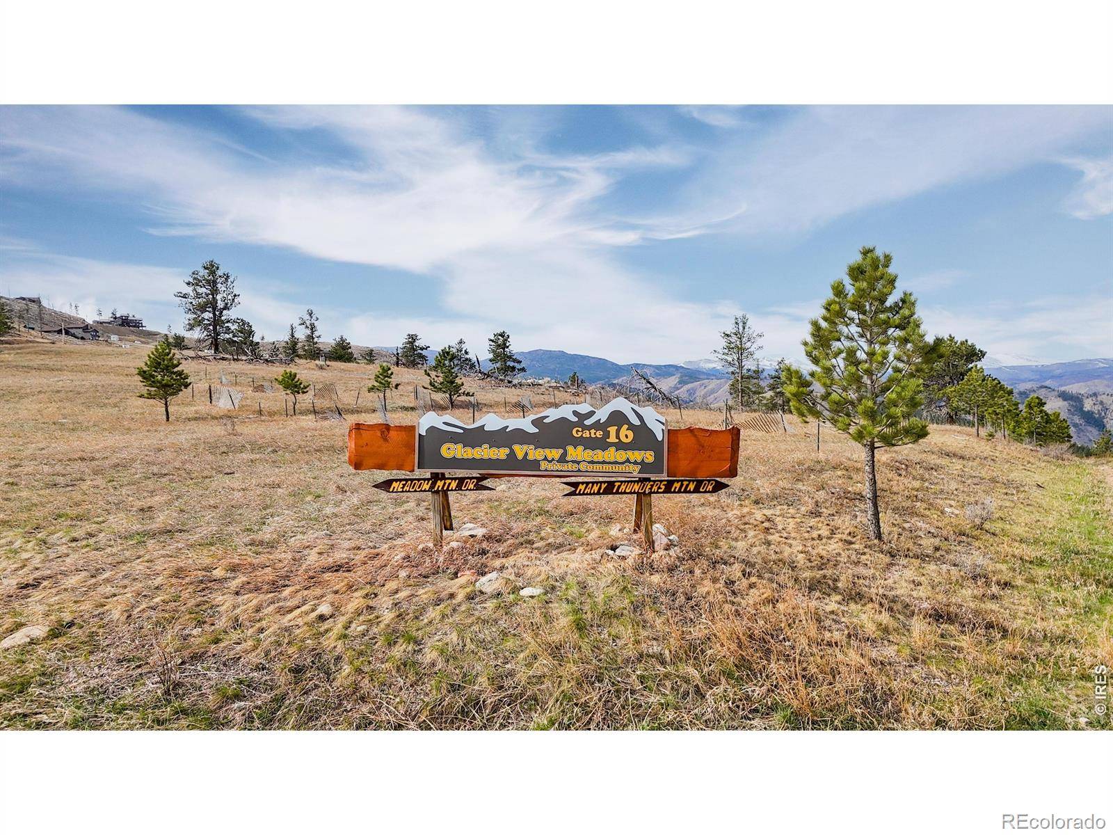 100 Sheep Mountain CT, Livermore, CO 80536
