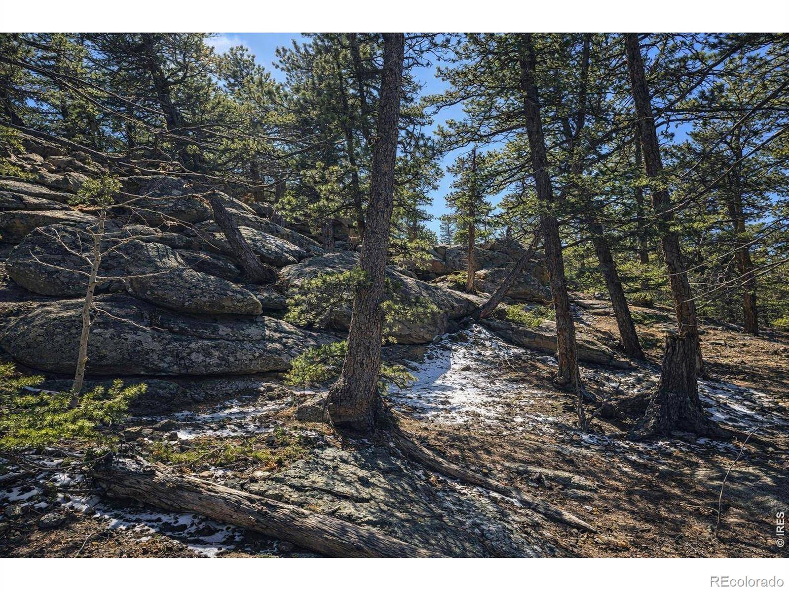 0 Sinisippi RD, Red Feather Lakes, CO 80545