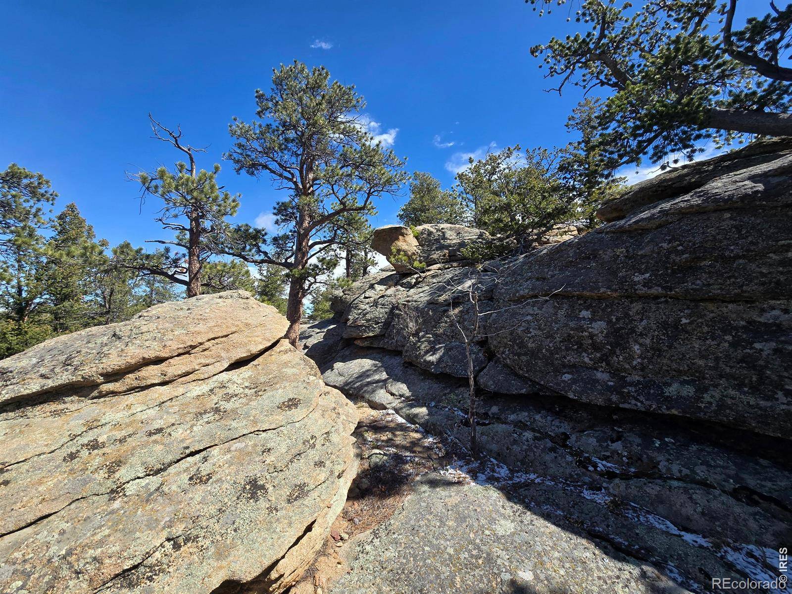 0 Sinisippi RD, Red Feather Lakes, CO 80545