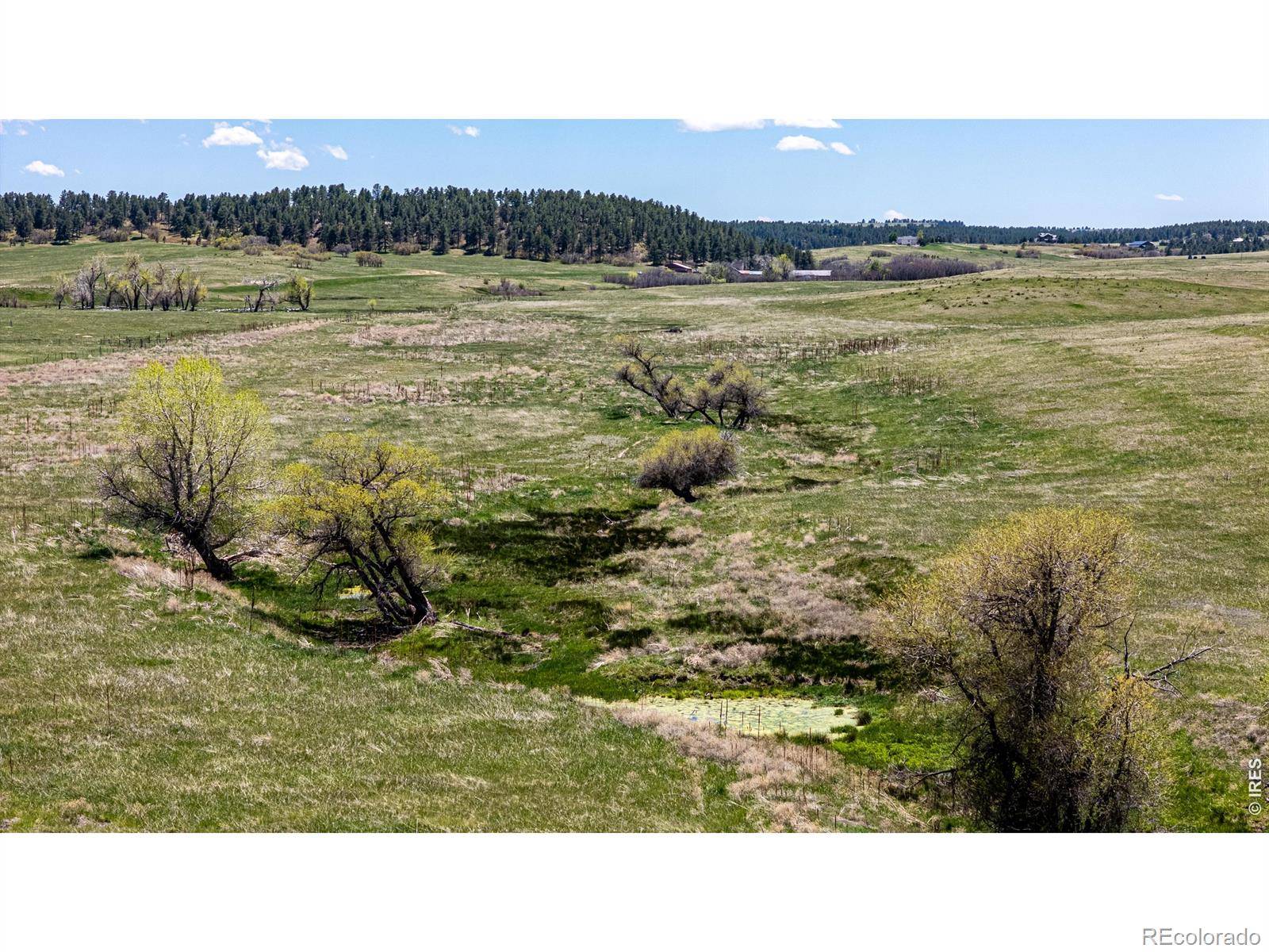 0 S Highway 83 HWY, Franktown, CO 80116