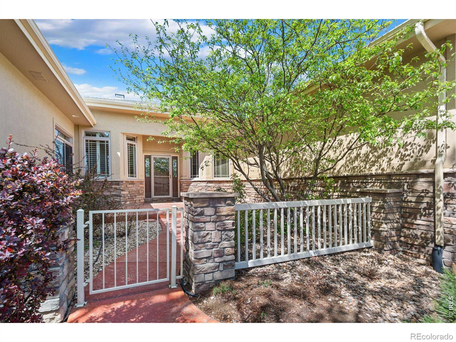 6535 Half Moon Bay DR, Windsor, CO 80550
