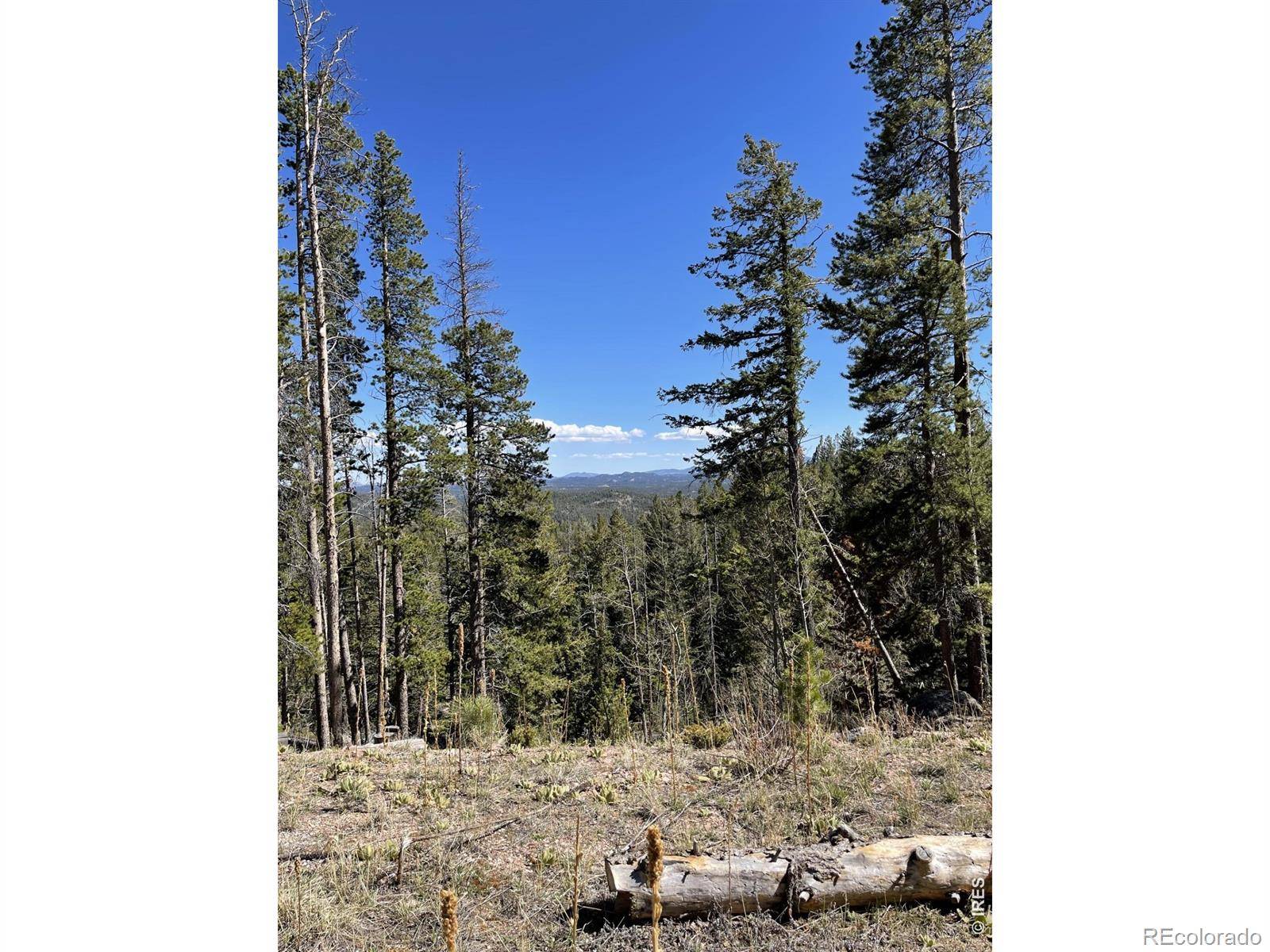 66 Piegan CT, Red Feather Lakes, CO 80545