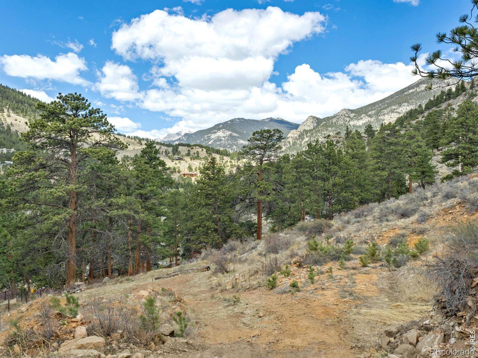 825 Castle Mountain RD, Estes Park, CO 80517