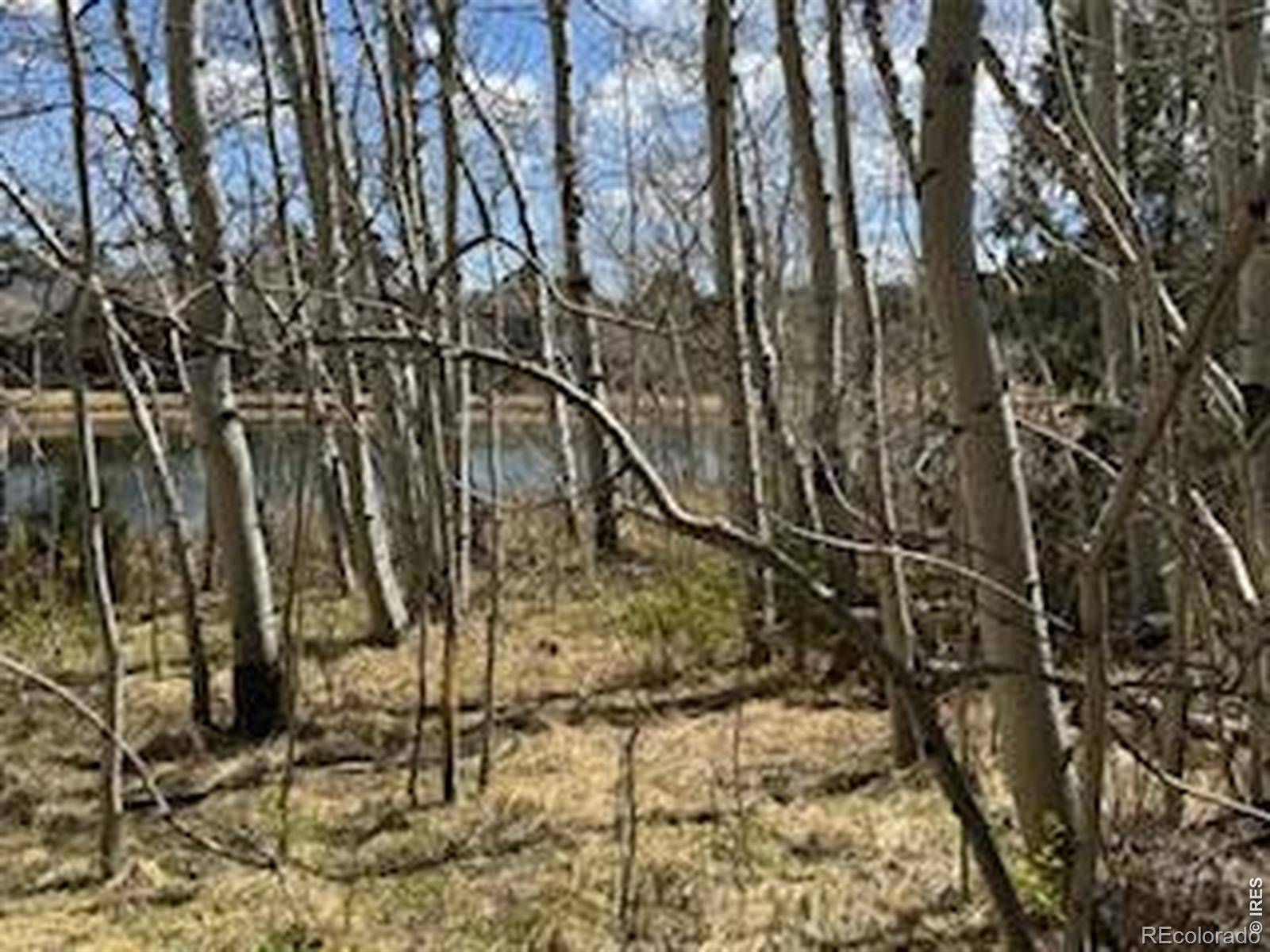 400 Fox Acres DR, Red Feather Lakes, CO 80545