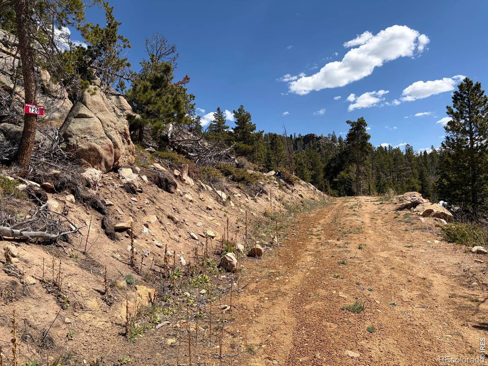 726 Micmac DR, Red Feather Lakes, CO 80545