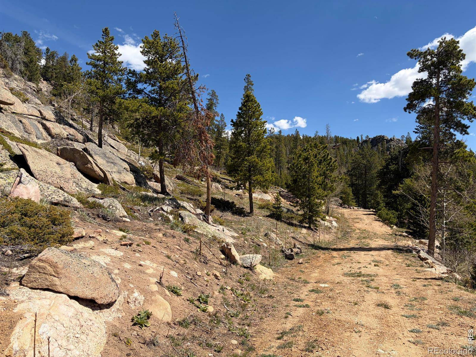 726 Micmac DR, Red Feather Lakes, CO 80545