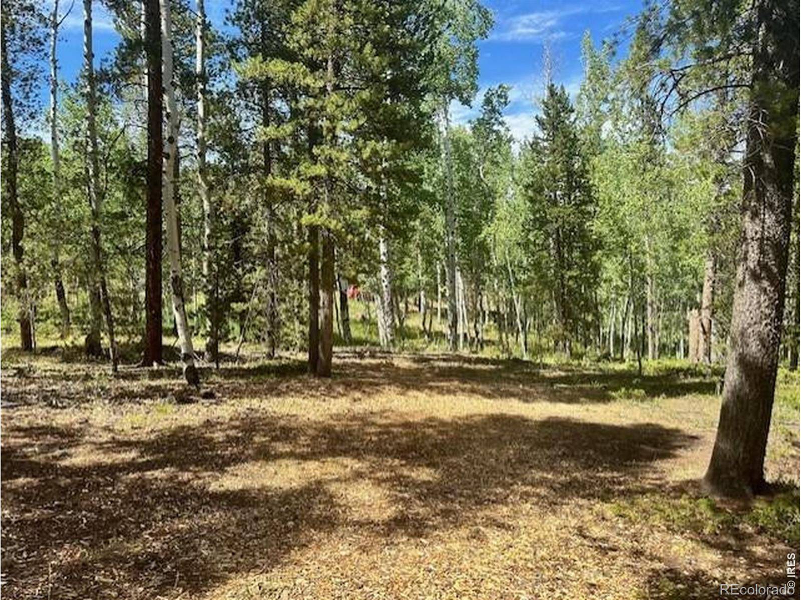 293 Aspen CIR, Black Hawk, CO 80422
